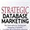 Strategic Database Marketing The Masterplan For Starting And Managing