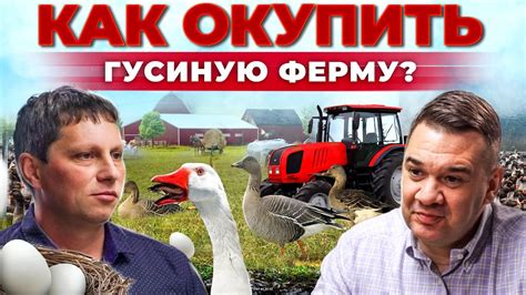 Сколько денег приносят гуси? Инкубатор своими руками | Лучшие породы ...