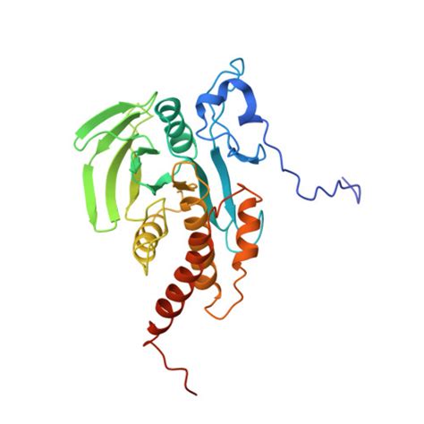 Rcsb Pdb Gwz Crystal Structure Of The Catalytic Domain Of The