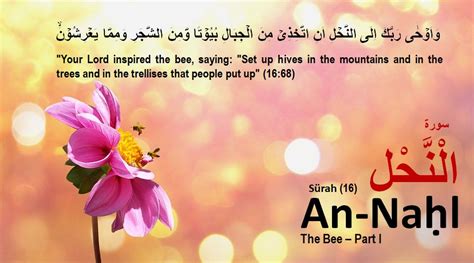 Surah An Nahl The Bee 16th Chapter Of Quran Exegesis Part I