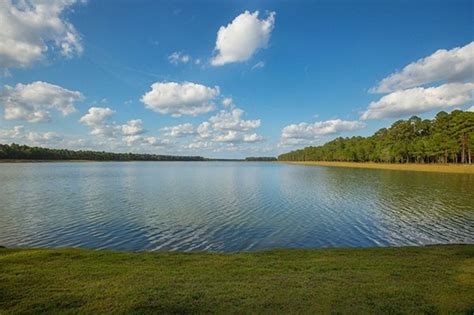 The Coves at Lakes of Cane Bay Photo Gallery - Sabal Homes | Charleston ...