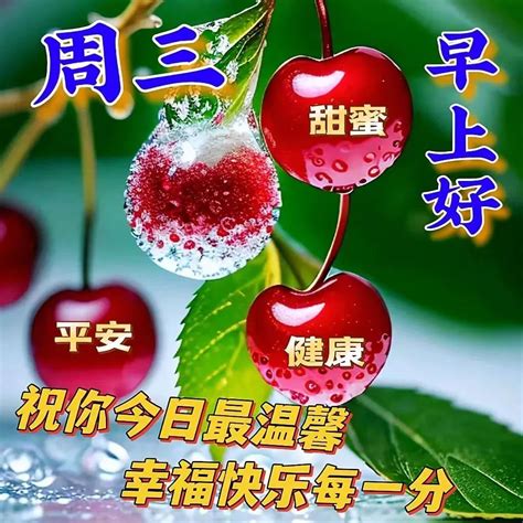 7月5日周三早上好，漂亮图片带字祝福语短句 哔哩哔哩