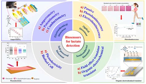 Biosensors Free Full Text Recent Advances In Wearable Biosensors