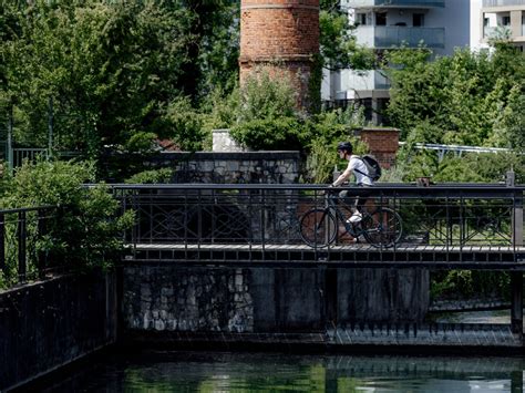 Qué hace que la Dual Sport sea una bici eléctrica tan versátil El