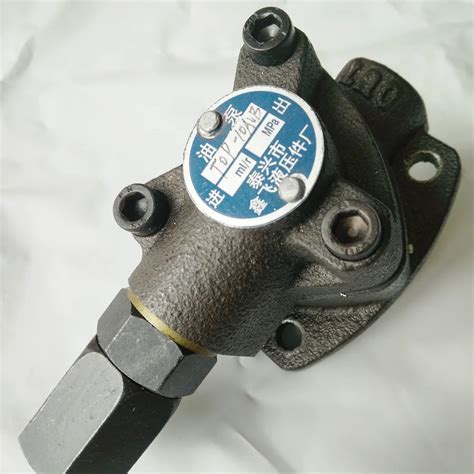 Gear oil pump Insert type lubricating cycloid small flow low pressure gear pump Triangle ...