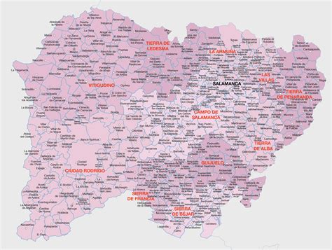 Vislumbrar Armonioso reembolso mapa provincia salamanca Parásito pastor viva