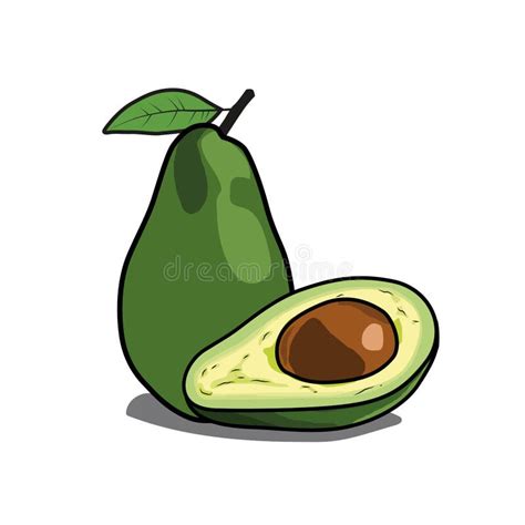 Avocado Illustration Doodle Style Stock Vector Illustration Of