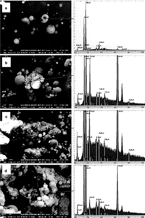 Sem Micrographs And Corresponding Sem Edx Profile Of Samples Taken From Download Scientific