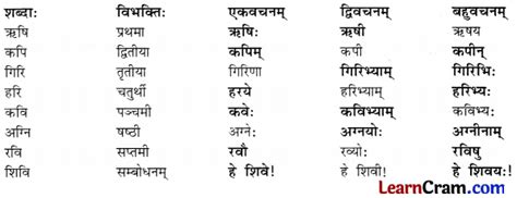 Dav Class 6 Sanskrit Book Solutions Chapter 8 धन्या मातुः महिमा Learn