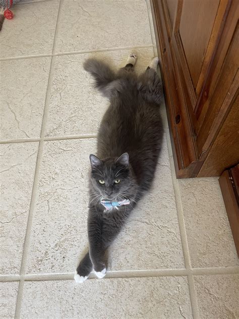 475 best Signature Move images on Pholder | Stunfisk, Pokemonmemes and