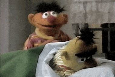 bert | GIF | PrimoGIF