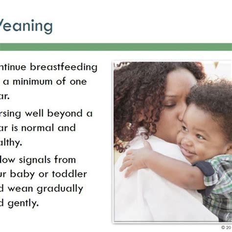 New Breastfeeding Powerpoint Birthwell Birthright