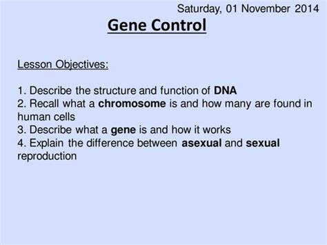 Gene Control Ppt Ht Teaching Resources