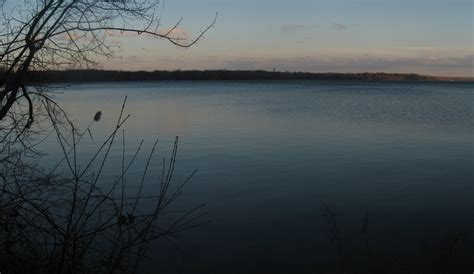 Bioblitz At Onondaga Lake Records 447 Species - Lake Scientist