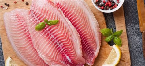 Brazilian Fish Farming Doubles The Value Of Its Exports In 2022