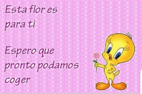 Piolin Frases Groseras Frases De Piolin Memesdepiolin