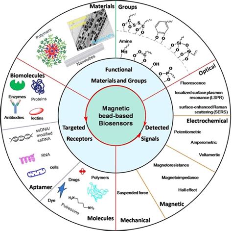 Magnetic nanoparticles show promise in biomedical applications