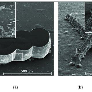 SEM Image Of 3D Polymer Microstructures Obtained By NIR Light Activated