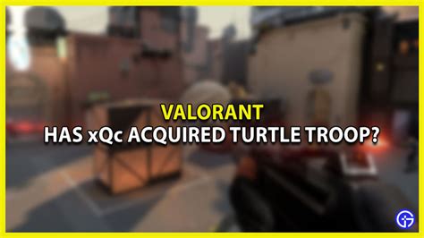 Has Streamer Xqc Acquired Valorant Team Turtle Troop