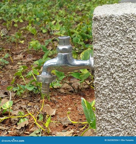 Water Tap For Watering Plants Stock Photo Image Of Woodland Backyard