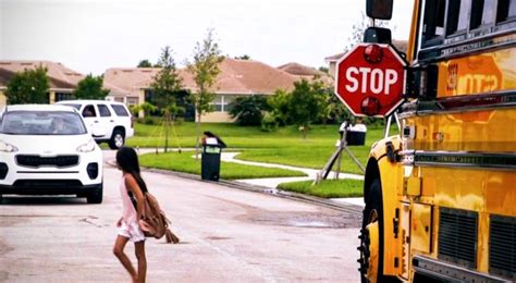 school bus safety | Seon Blog