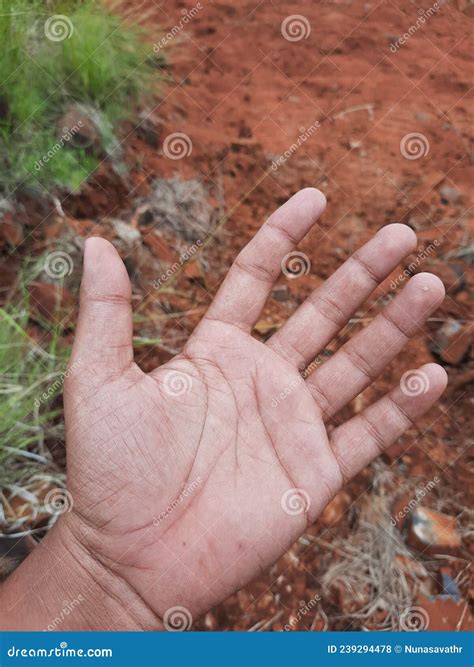 311 Helping Hands Banner Stock Photos Free And Royalty Free Stock