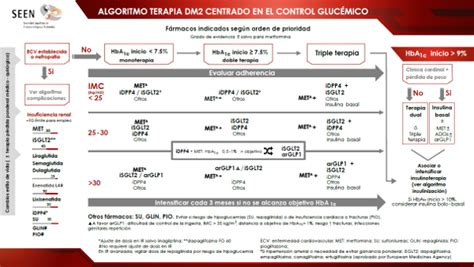 Nuevos Algoritmos Tratamiento Diabetes Tipo 2 En España Live Med