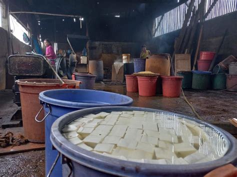 Perajin Tahu Dan Tempe Di Tasikmalaya Berencana Mogok Produksi