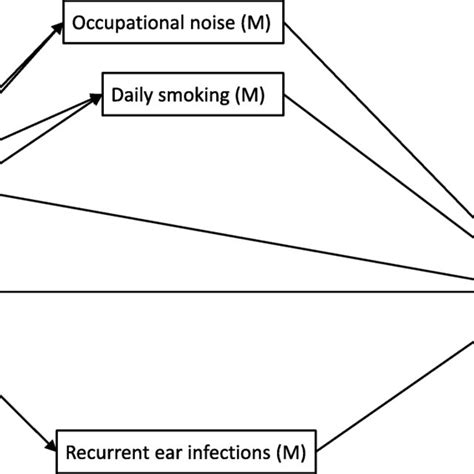 Direct Acyclic Graph Dag Showing The Assumed Causal Relationships