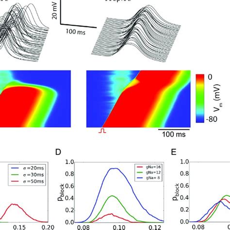 Effects Of Delayed Afterdepolarization Dad Synchronization On