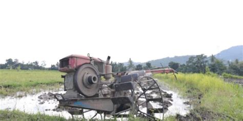 Prasarana Dan Sarana Pertanian Jadi Kunci Sukses Ketersediaan Pangan