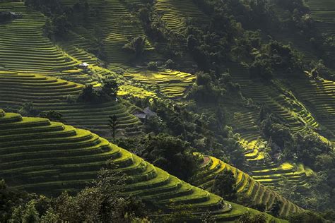 Hd Wallpaper Asia Hut Sunrise Terrace Terraces Rice Terraces