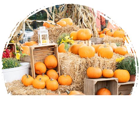 Homes for Sale in West Jefferson & Ashe County NC - Ashe County Realty