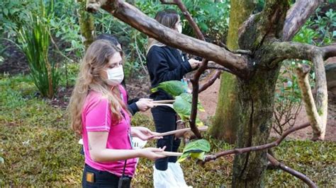 Parque Das Aves Espera Receber Mil Visitantes Nas F Rias De Julho