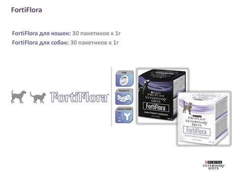 ФортиФлора для собак: инструкция и показания к применению, отзывы, цена