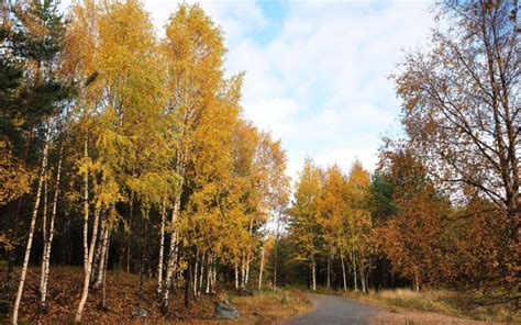 autumn, Road, Trees, Landscape Wallpapers HD / Desktop and Mobile ...