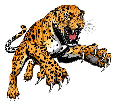 Leopard Illustrations Royalty Free Vector Graphics And Clip Art Istock