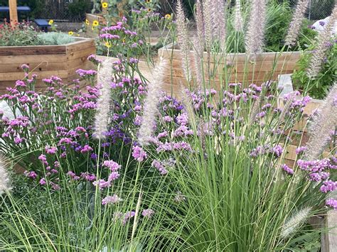 Denver Urban Gardens (DUG) | Nature and Health Alliance