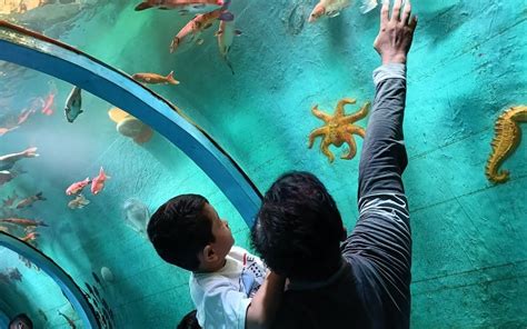 Lokaranjan Aqua World Indias Longest Underwater Tunnel Aquarium