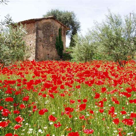 Provence | Provence Villas