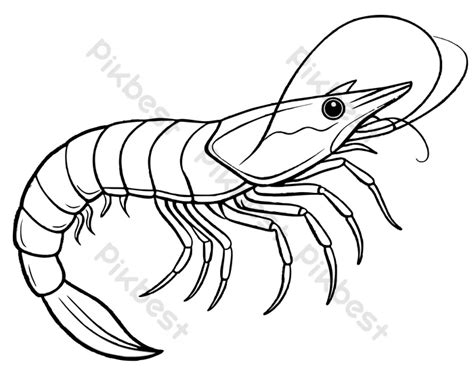 gambar kartun udang  gratis pikbest