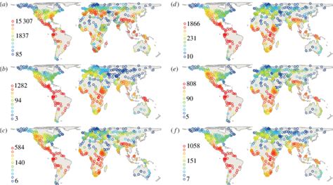 Global Patterns Of Species Richness Of Geographical Units Analysed