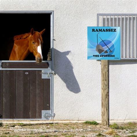 Ramassez vos crottins à votre sortie de manège BoxProtec