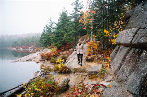 Carolyn Travels: Bar Harbor & Acadia National Park » Carolyn Allen ...