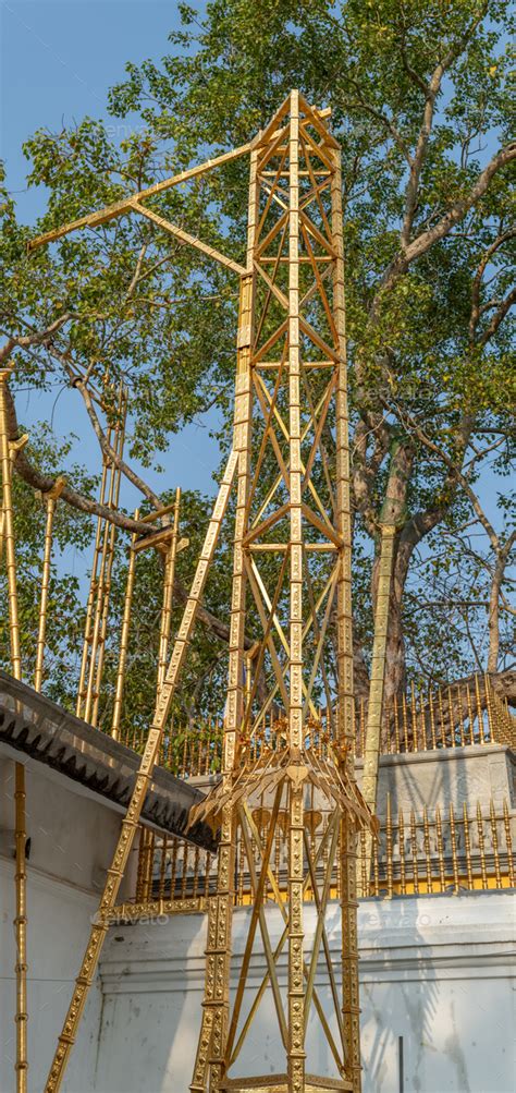 Jaya Sri Maha Bhodi Tree Is A Sacred Fig Tree In The Mahamewna Garden