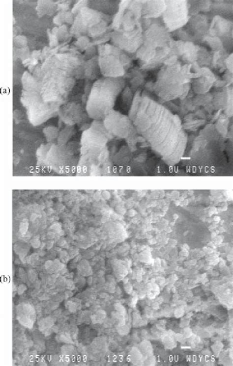 A SEM Image Of Raw Kaolinite B SEM Image Of Urea Kaolinite Complex