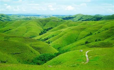 Eksplorasi Keindahan Bukit Teletubbies Bromo Destinasi Wisata