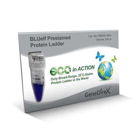 BLUelf Prestained Protein Ladder GeneDireX Inc