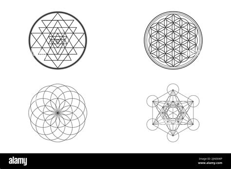 Simboli Della Geometria Sacra Sri Yantra Fiore Della Vita Toro