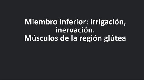 Miembro inferior y músculos de la región glútea Studimedicina uDocz